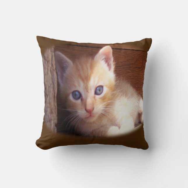Katzen Kissen (Vorderseite)