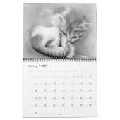 Katzen , Kittens , 2016 Kalender KaterinaArt (Jan 2027)