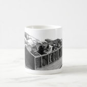 Katzen-Klavier-Tasse Kaffeetasse (Mittel)