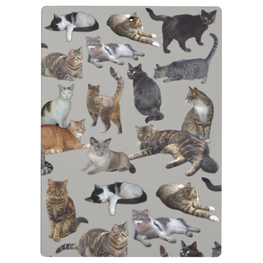 Katzen Klemmbrett (Rückseite)