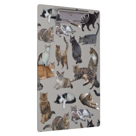 Katzen Klemmbrett (Rechts)