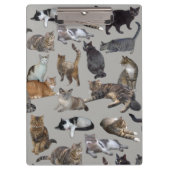 Katzen Klemmbrett (Vorderseite)