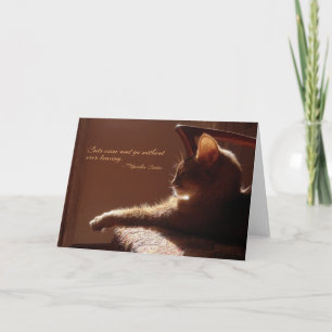 Katzen kommen und gehen Karte