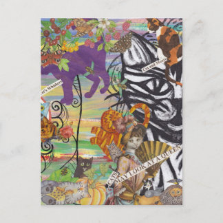 Katzen können sich eine Queen Postkarte ansehen