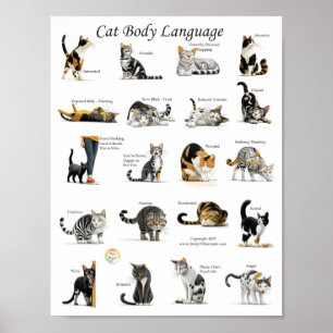 Katzen-Körpersprachen-Diagramm Poster