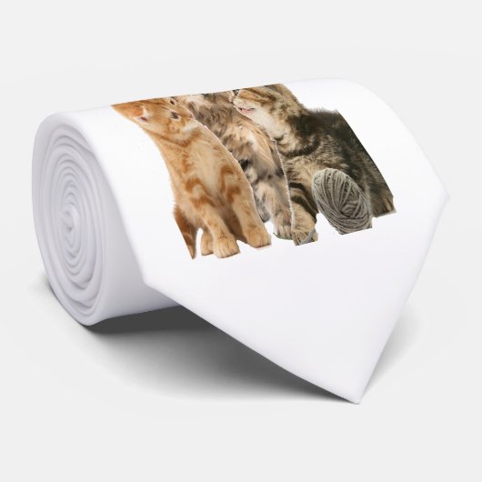 Katzen Krawatte (Gerollt)