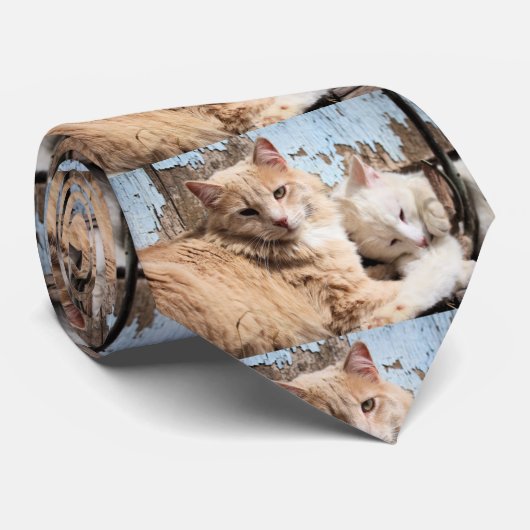 Katzen Krawatte (Gerollt)