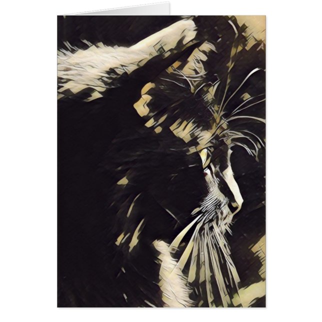 Katzen-Kunstanmerkungen, Profil der schwarzen (Vorne)