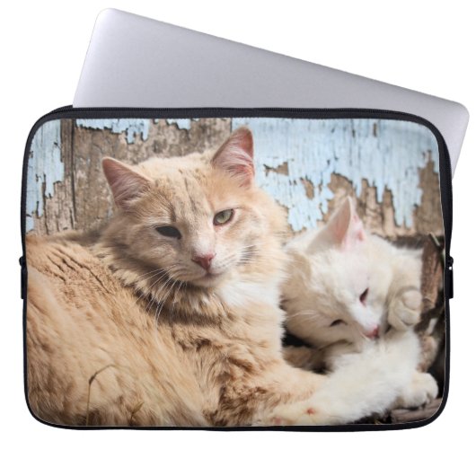 Katzen Laptopschutzhülle (Vorderseite)