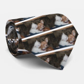 Katzen lecken Hund Krawatte (Gerollt)