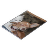 Katzen lecken Hund Notizblock (Linke Seite)