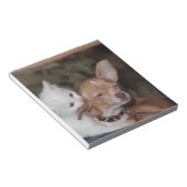 Katzen lecken Hund Notizblock (angewinkelt)