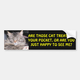 Katzen-Leckereien in Ihrer Tasche? MEME Autoaufkleber