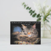 Katzen Leckereien? oder... Postkarte (Stehend Vorderseite)