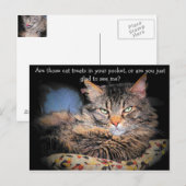 Katzen Leckereien? oder... Postkarte (Vorne/Hinten)