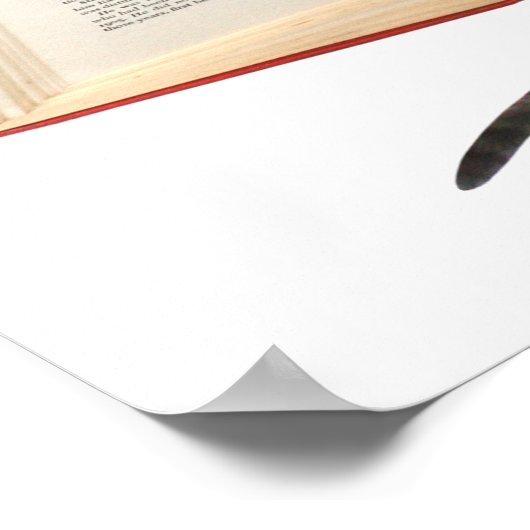 Katzen lesen Buchposter Poster (Ecke)