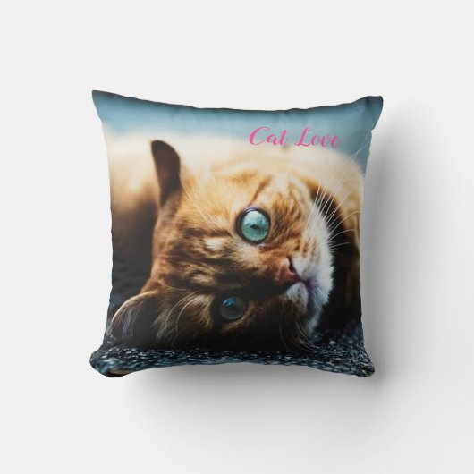 Katzen-Liebe - Geschenk für beliebtes Design Kissen (Vorderseite)