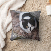 Katzen-Liebe - Geschenk für beliebtes Design Kissen (Decke)