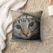 Katzen-Liebe - Geschenk für beliebtes Design Kissen (Decke)