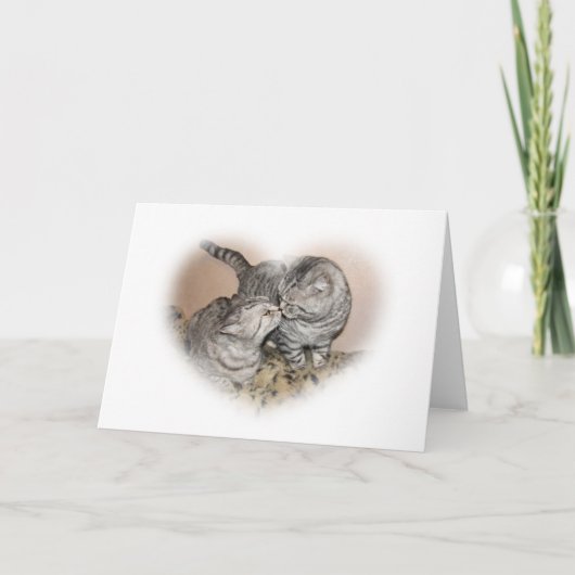 Katzen-Liebe Grußkarte Karte (Vorderseite)