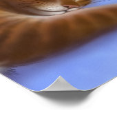 Katzen Liebe Sauberes Waschplakat Poster (Ecke)