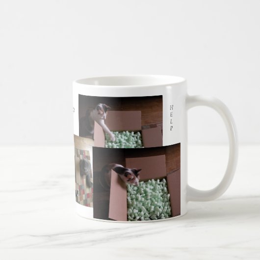 Katzen-Liebe, Tasse zu helfen (Rechts)