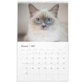 Katzen lieben Kalender (Feb 2027)