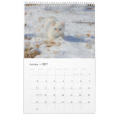 Katzen lieben Kalender (Jan 2027)