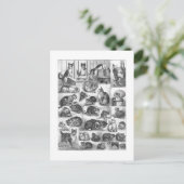 Katzen, Louis Wain Postkarte (Stehend Vorderseite)