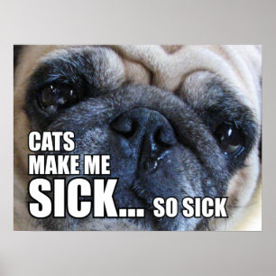KATZEN MACHEN MICH KRANK... SO SICKEL ALLERGY ME POSTER