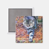 KATZEN MAGNET (Vorderseite/Rückseite)