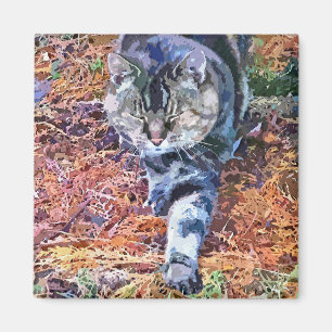 KATZEN MAGNET