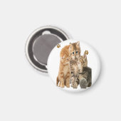 Katzen Magnet (Vorderseite/Rückseite)