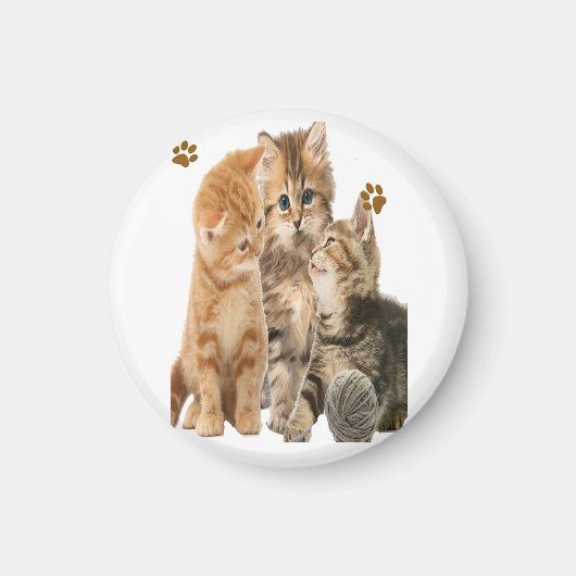 Katzen Magnet (Vorne)