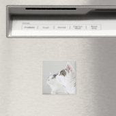 Katzen Magnet (In Situ (Geschirrspüler))