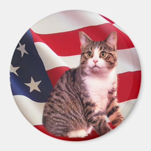 Katzen-Magnet ganz amerikanisch Magnet