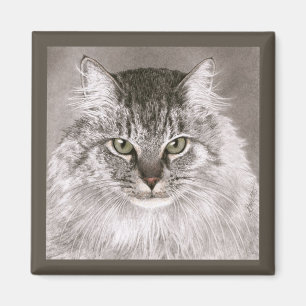 Katzen-Magnet - "MERLIN " Magnet