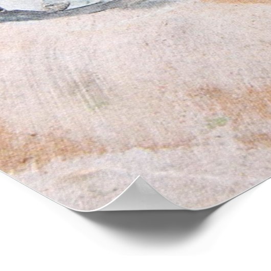 Katzen malen poster (Ecke)