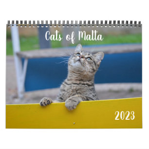 Katzen Maltas - Kalender 2023