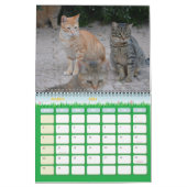 Katzen Maltas - Kalender 2023 (Mär 2026)