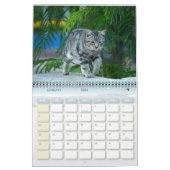 Katzen Maltas - Kalender 2023 (Jan 2026)