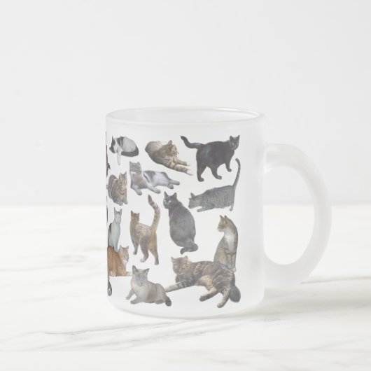 Katzen Mattglastasse (Rechts)