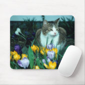 Katzen-Mausunterlage Mousepad (Mit Mouse)