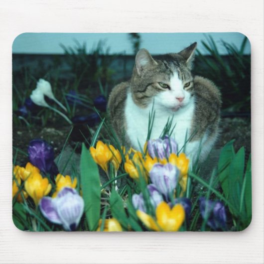 Katzen-Mausunterlage Mousepad (Vorne)