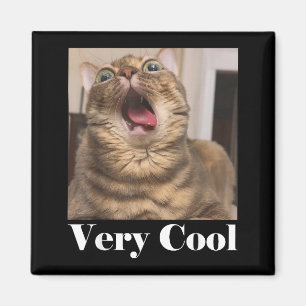 Katzen Meme Grafik Dummer Katzen Humor Lustige Kat Magnet