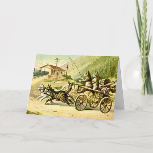 Katzen-Merkkarte Karte (Vorderseite)