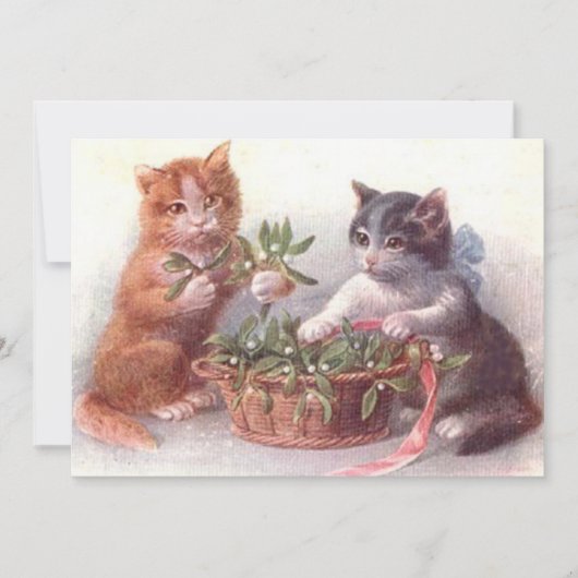 Katzen & Mistelzweig (Vorderseite)