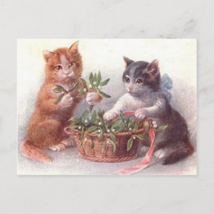 Katzen & Mistelzweig Postkarte