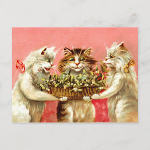 Katzen mit Mistelzweig Postkarte