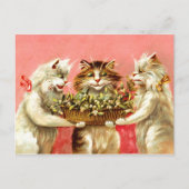 Katzen mit Mistletoe Postkarte (Vorderseite)